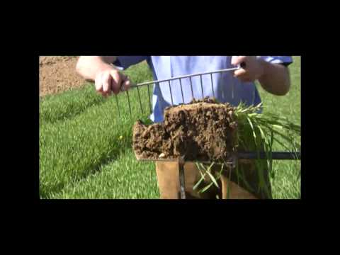 Spatenprobe und Bodenbeurteilung