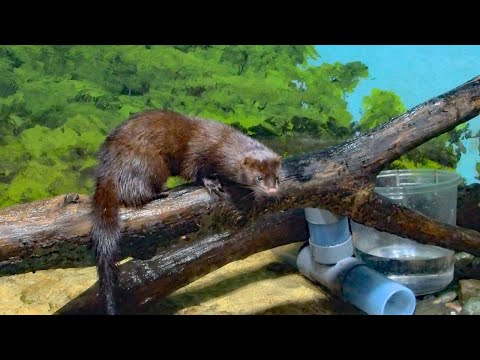 リダイレクトアイコン