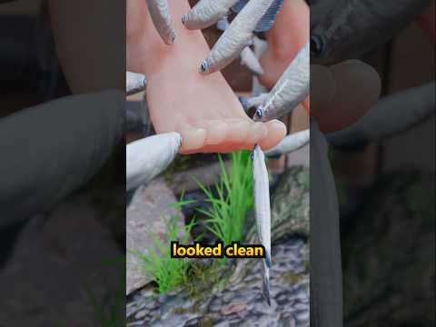 A Fish Spa Trip Gone Wrong