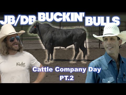 PART 2 - JB Mauney Working the JB/DB Buckers - Rodeo Time 239
