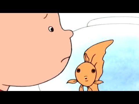Caillou and the Pet Fish | Caillou Cartoon