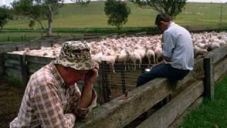 Now I&#39;m Easy - Jim Brannigan