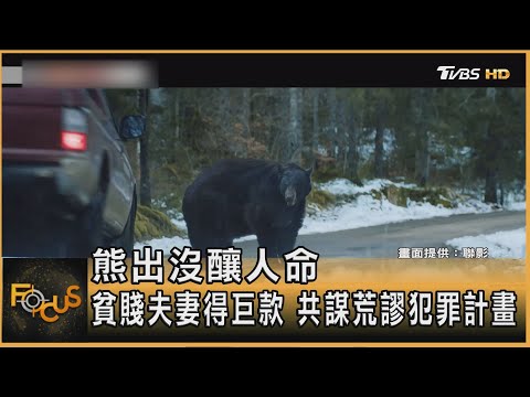 熊出沒釀人命 貧賤夫妻得巨款 共謀荒謬犯罪計畫 ｜方念華｜FOCUS全球新聞20250411 @tvbsfocus