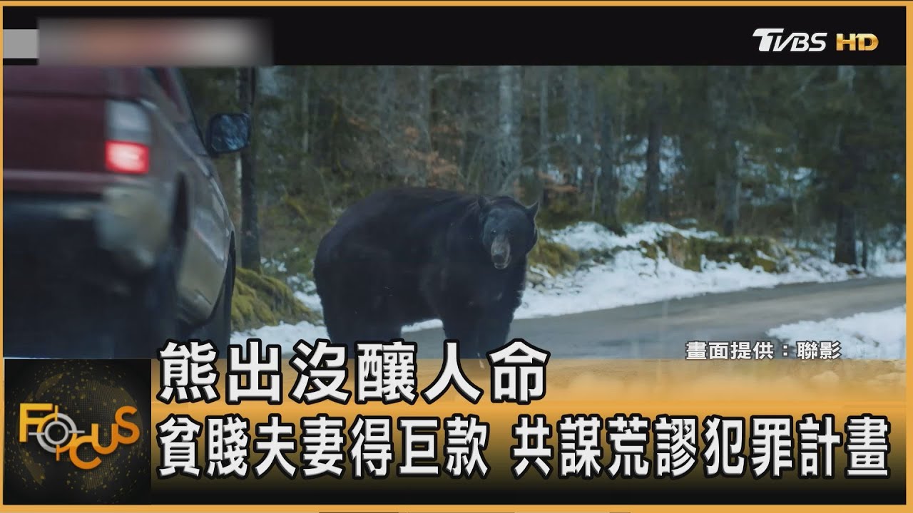 熊出沒釀人命 貧賤夫妻得巨款 共謀荒謬犯罪計畫