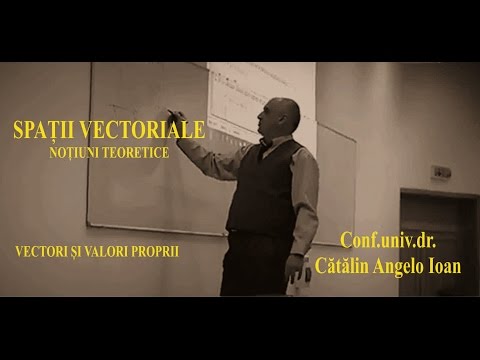 Matematica   Spatii vectoriale   017 Vectori si valori proprii