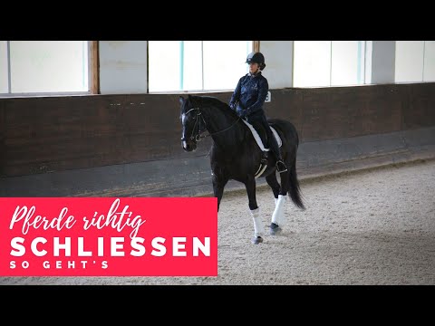 Riding better with Christoph Ackermann | How to close the horse correctly