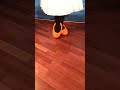 Minnie S Feet