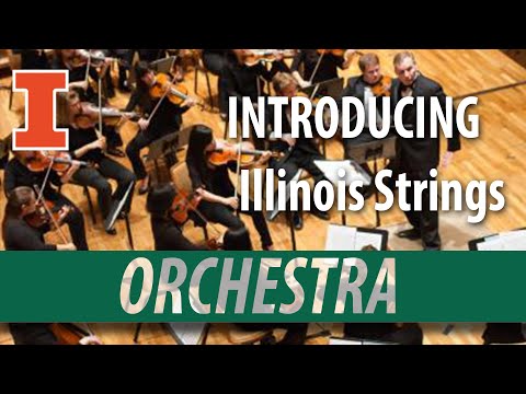 The University of Illinois String Division