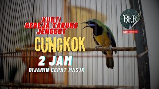 Download lagu CUNGKOK MEWAH MATERI KUNTI, GEREJA, JENGGOT & KONIN 🔴 DURASI 2 JAM❗️COCOK UNTUK MASTERAN MALAM HARI mp3