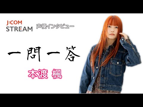 動画