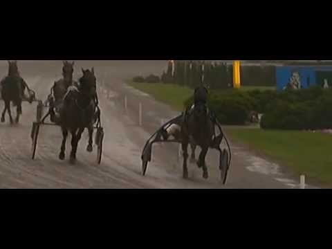 Fyraåringseliten 2013_Pascia' Lest 1:10,5_Enrico Bellei_Full HD