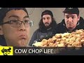Cow Chop Life • '200 Chick-Fil-A Nuggets' Cow Chop Life • '200 Chick-Fil-A Nuggets'