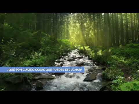 Cómo practicar la consciencia plena