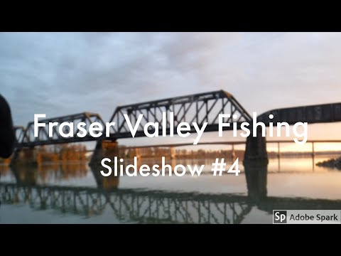 Fraser Valley Fishing [Slideshow#4]
