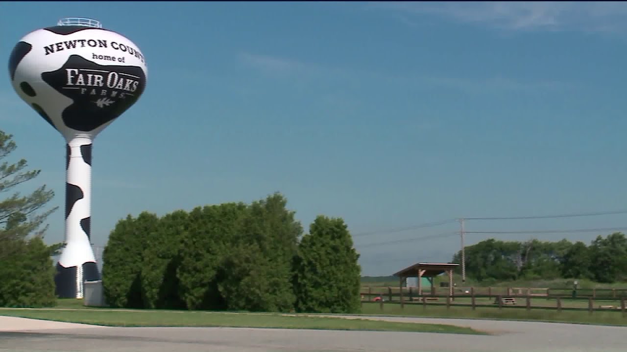 Group releases more undercover video showing animal abuse at Fair Oaks Farm