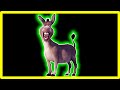 9 Donkey Sound Variations