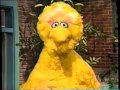 Sesame Street 3894 The X Games