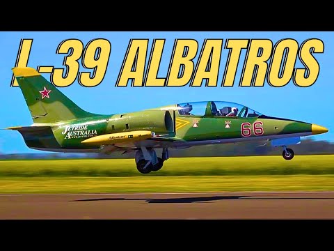 Own This Fighter Jet for $300,000 | Aero L-39 Albatros