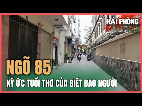 Alley 85 (Hang Kenh, Hai Phong) | Childhood memories suddenly come back | October 22, 2025.