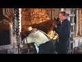 Friendly Persuasion - lady, half buffalo