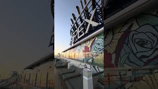 This is honestly my favorite time onboard Celebrity Apex…