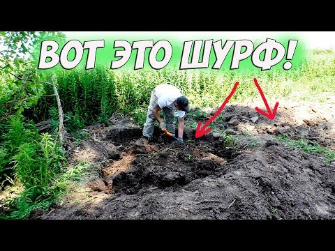 Вот это коп!!! Монеты прут из всех щелей. Кладоискатели, коп монет 2019. Часть 1