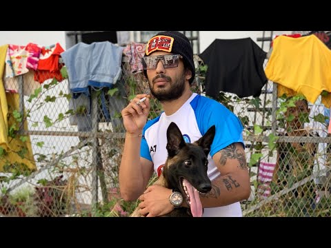 TOKAR STORY.  [Video clip official]  Nika 2024