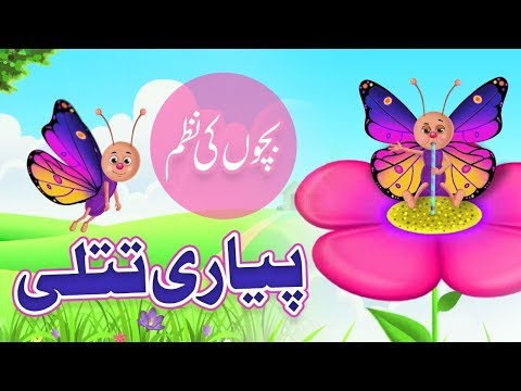 Rangi Barangi Pyari Titli | Nursery Rhymes | Kids Poem | Bachon Ki Nazam