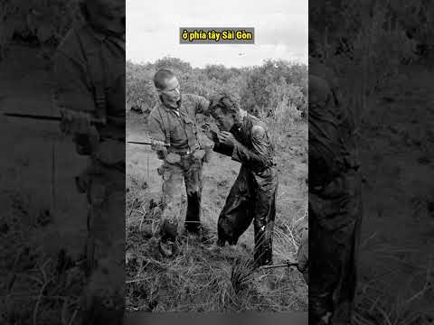 Bức ảnh sẽ khiến bạn đau lòng trong chiến tranh Việt Nam #shorts