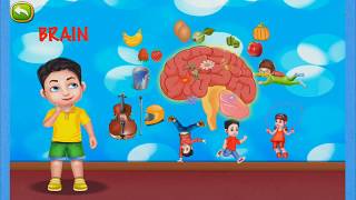 The Human Body for Kids | Brain for children | Educational cartoons