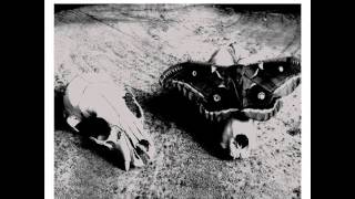 Mimicking Birds - Water Under Burned Bridges