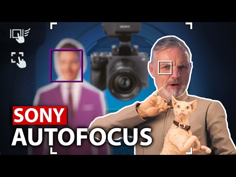 How to use Sony AutoFocus - FX3 / FX30 / A7SIII