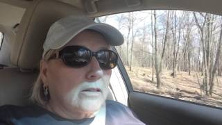 Singalong to Sunny Disposition