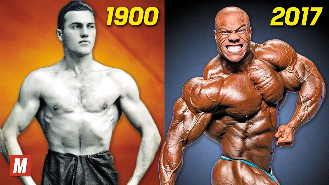 Evolution of Bodybuilding
