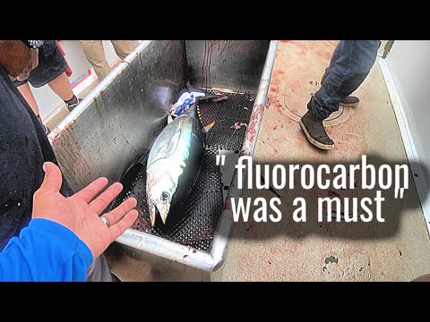 Bluefin Tuna Tip | Fishing Line Recommendation