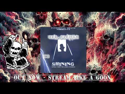 Pitchbull Beats × Zer.Fleisch - Shining Prod. Pitchbull Beats