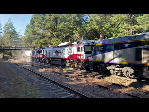 EL60 & EL62 lead 3MP9 30/6/2021