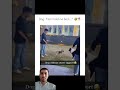 Dogs without owner support???????????? #funny #pets #animals #dogs #shorts #viral #dogsidiot #petsshorts