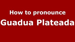 How to pronounce Guadua Plateada
