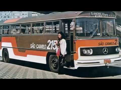 Viação São Camilo - Portal da Mobilidade
