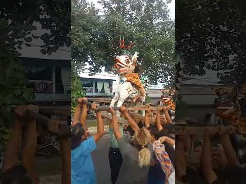 #Shorts Praje Lombok NTB Saat da Acara Khitanan ato Acara lainx  wa.087763443555