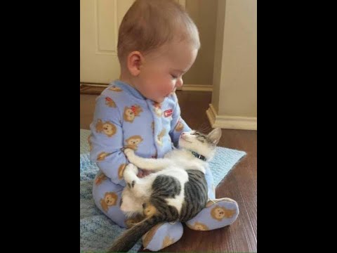 Cute baby with cat kittens playing with funny video clip