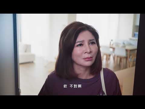 假冒檢警詐騙 - 王彩樺