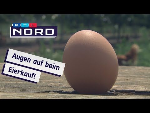 , title : 'Bio-Eier: So werden die Hühner gehalten'