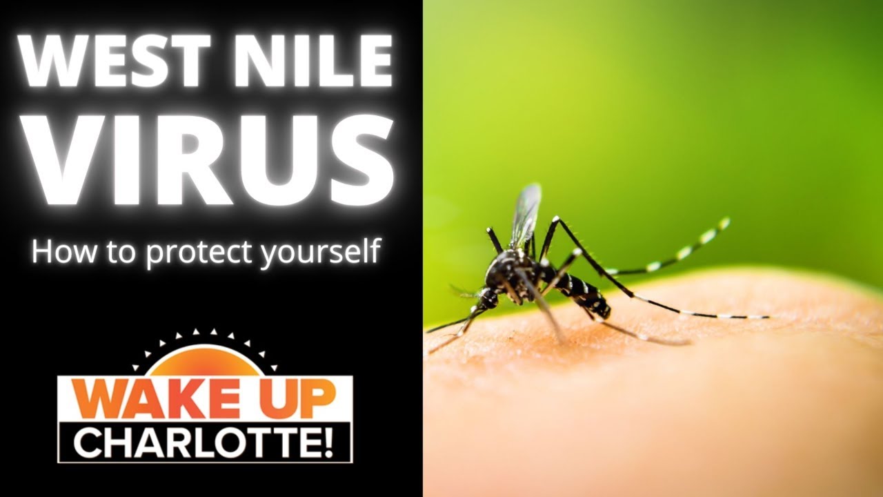 West Nile virus: How to protect yourself from the disease
