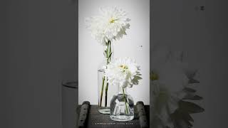 Download lagu mulle mazhaville song... 🌼malayalam status video 🌼our little bliss mp3