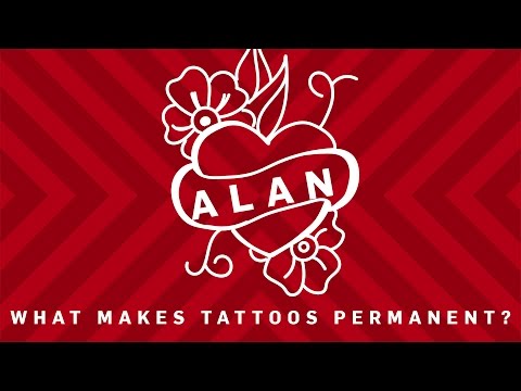 What Makes Tattoos Permanent? | Earth Science