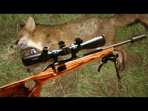 My Shooting Gear - Rifle CZ455 Thumbhole .22LR/.17HMR