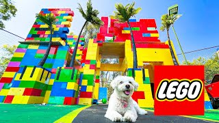 PUPPY EXPLORES LEGO CITY!!