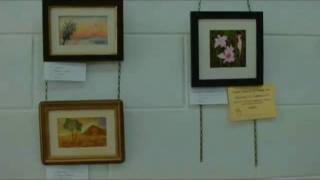 preview picture of video 'Cooktown Art - Elizabeth Guzsely Gallery Tour'